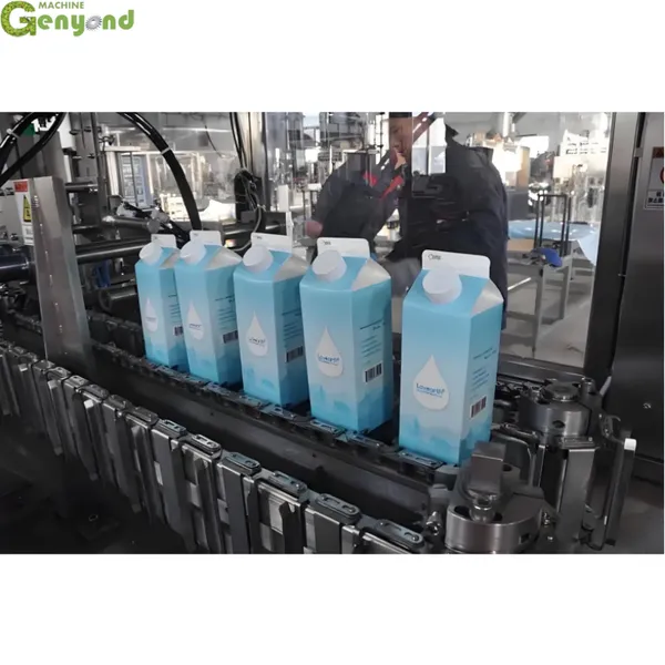 Fully Automatic Yogurt Filling and Sealing Machine Milk Gable Top Carton Packing Machine photo-6