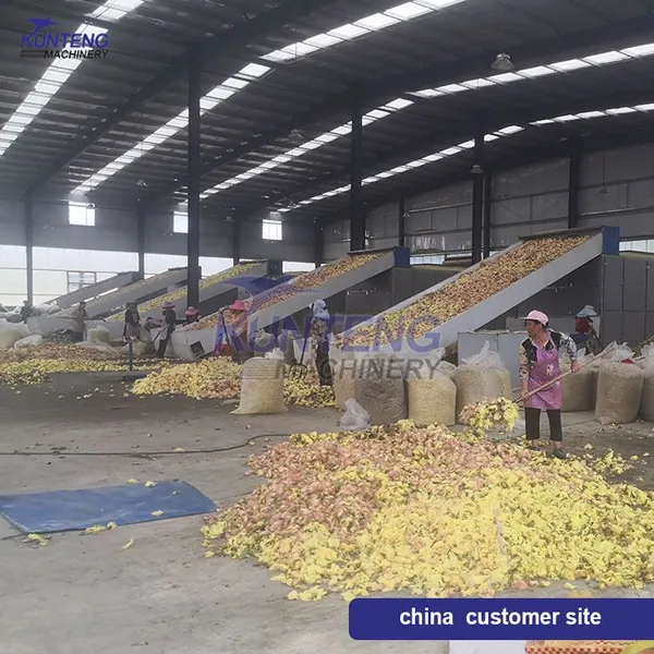 Multi Layer Mesh Belt Flour Peanut Corn Coffee Bean Dryer Automatic Fish Jute Dryer EPC photo-2