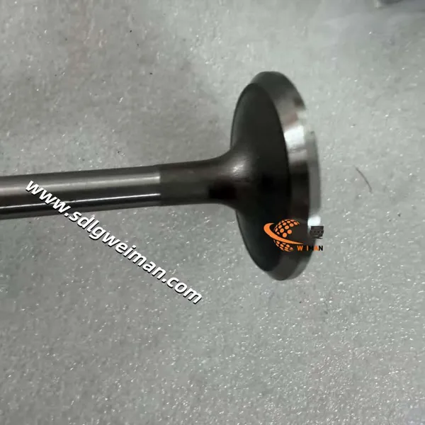 Exhaust Valve Kt 3802356 for Cummins Engine Parts photo-5
