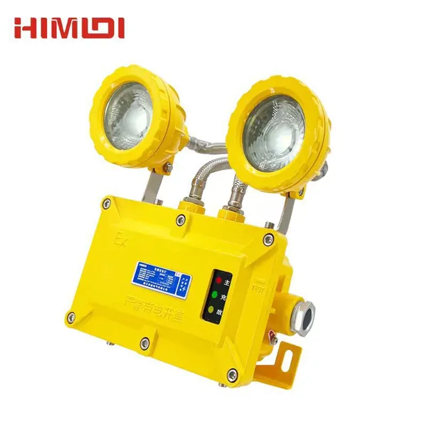 Explosion Proof Twin Heads LED Emergency Light IP66 Aluminum Alloy 2*3W AC220V 90mins for Chemical Oil Hazardous Zone