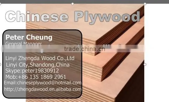 Top Quality Film Faced Plywood photo-5