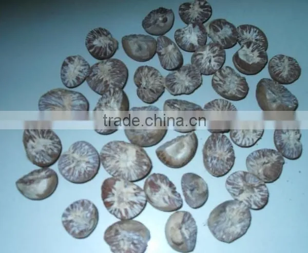 Betel Nuts