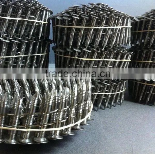 Direct Factory Roofing Coil Nails / Coil Nail /china Coil Nail photo-5