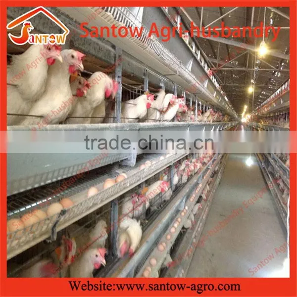 Stable Steel Structure Professional Chicken Egg Layer Cage Pakistan Poultry Farming Equipment photo-5