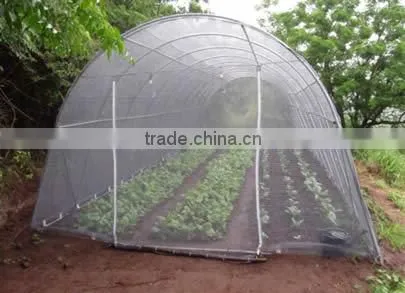 HDPE Vegetable Plant Insect Proof Net, pe Pest Control Web/net photo-6
