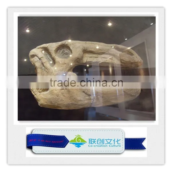 1:1 Scale Artificial Resin Dinosaur Skull photo-4