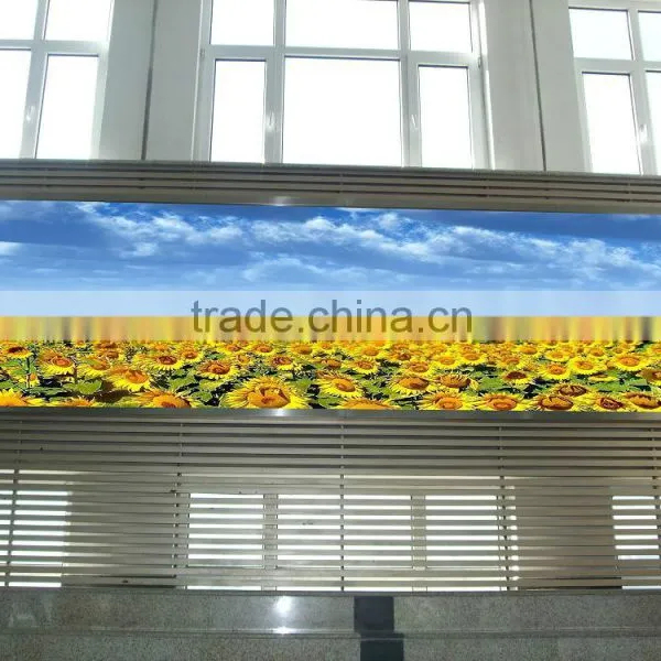 Guang Zhou Cheng Wen Produce Effective and Vivid Indoor Full Color p3 LED Screen Wall photo-3