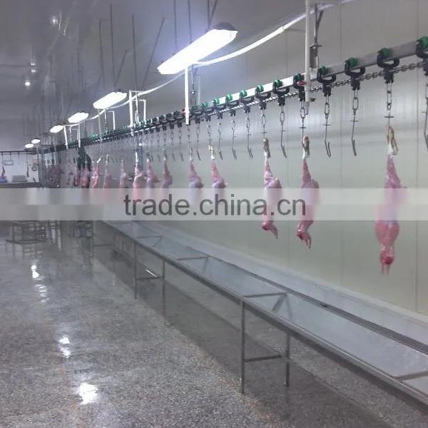 Rabbit Processing Slaughterhouse photo-5