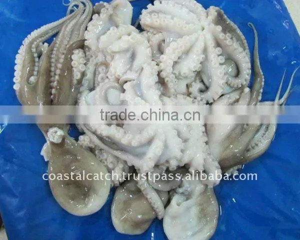 FROZEN OCTOPUS