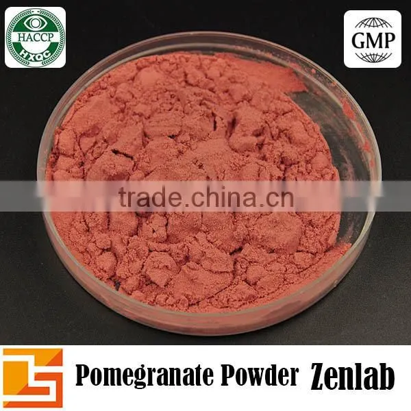 GMP Factory Supply Pomegranate Powder for Pomegranate Juice photo-2