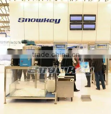 Commercial Flake Ice Maker iCE Machine For Sale Flaking Machine