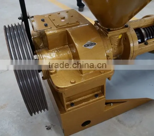 Cotton Seeds and Sunflower Oil Expeller Machine photo-4