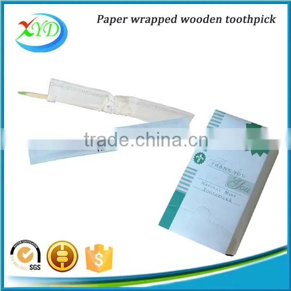 High Quality Mint Flavored Toothpicks photo-4