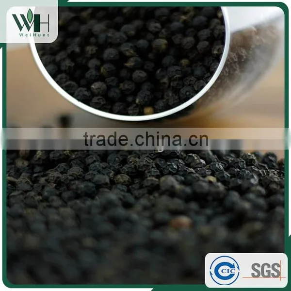 Vietnam Organic Black Pepper Pgi-570 With International Price