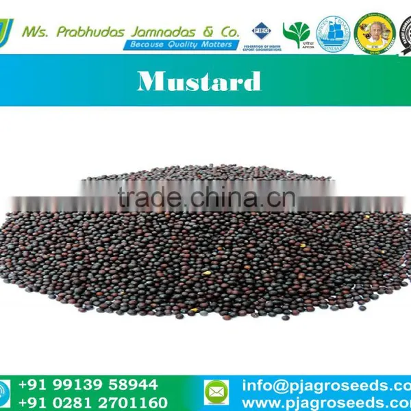 Black Mustard Seeds