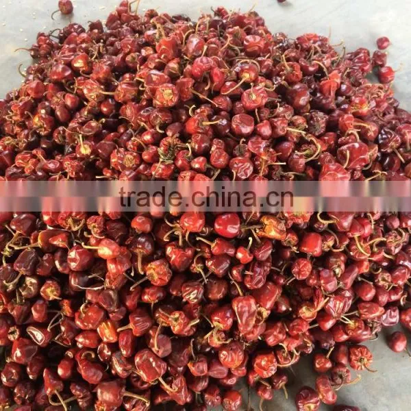 Round Red Chilles photo-3