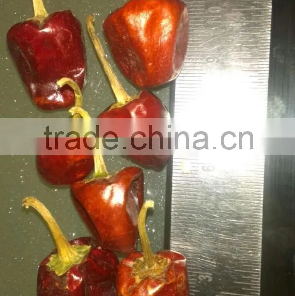 Dry Chiles From India photo-5