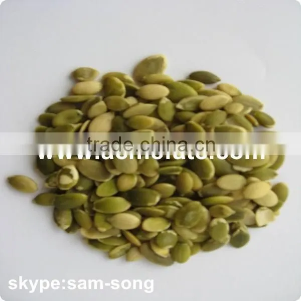 Wholesale Delicious Pumpkin Seeds Kernels photo-2