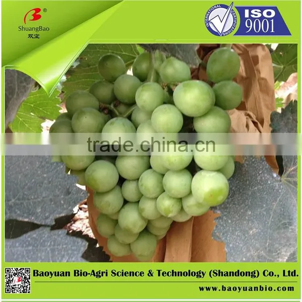 100% Water Soluble Fertilizer With Humic Acid 13-4-17 photo-2