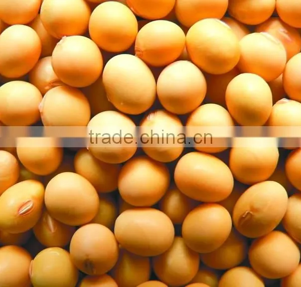 Soyabean Meal 43%-48% photo-3