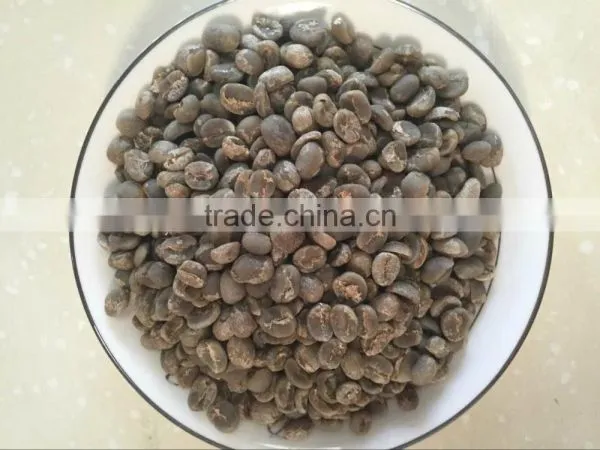 Arabica Green Coffee Beans photo-2