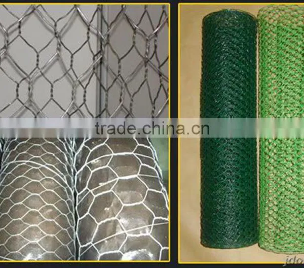 Competitive Price for Hexagonal Wire Mesh photo-2