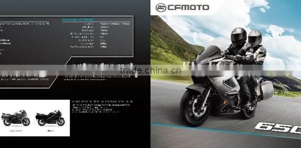 Motorcycle 650 Deuville Abs photo-3