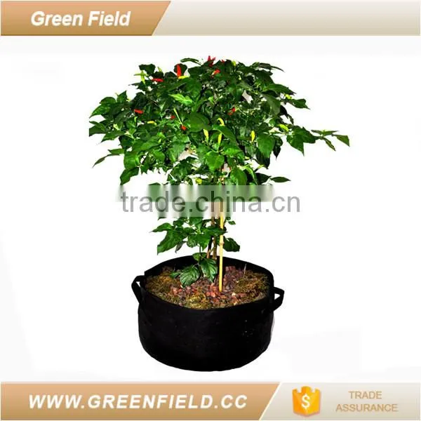 Felt Garden Plant Pots,chinese Felt Garden Plant Pots photo-2
