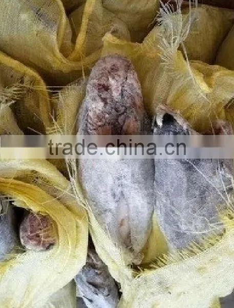 Frozen Oil Fish Rough Skin photo-5