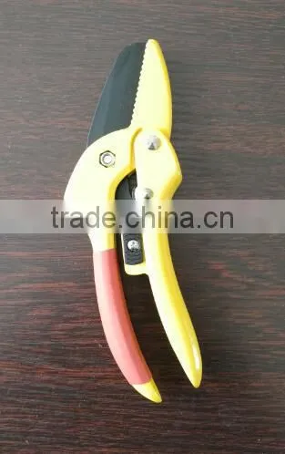 Pruner photo-2
