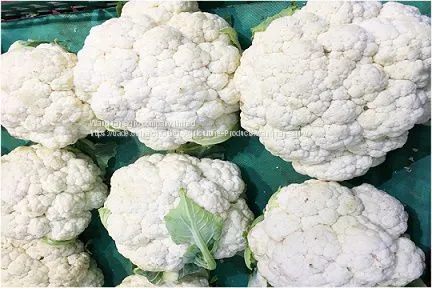 white cauliflower