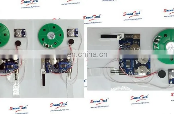 Greeting Card Voice Recording Module photo-5