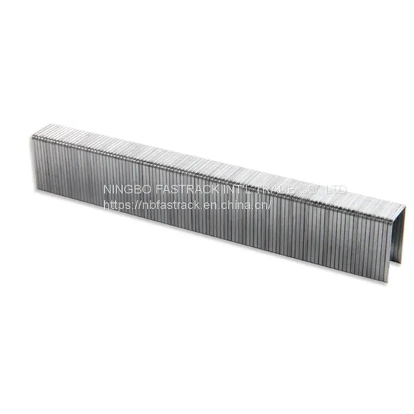 20 Gauge Air Staples Nails Good Quality Competitive Price 1013j Nb-fastrack Staples Furniture Decoration photo-4