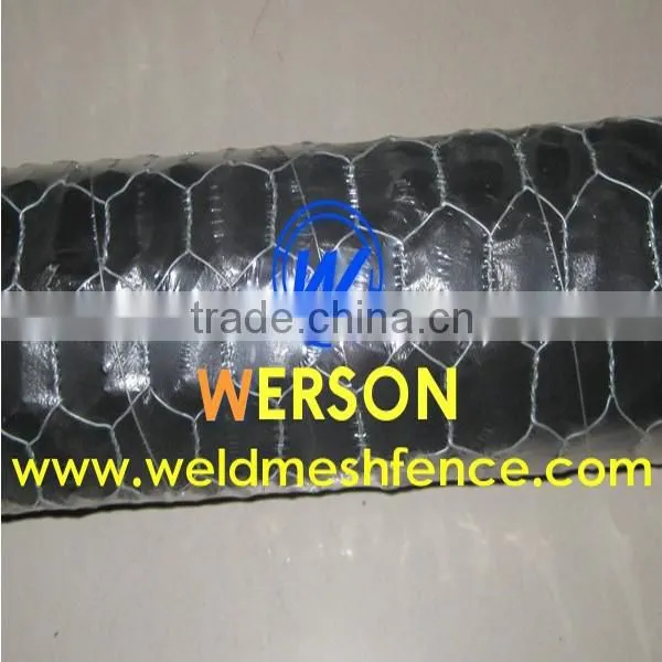 PVC Coated Poultry Netting photo-3