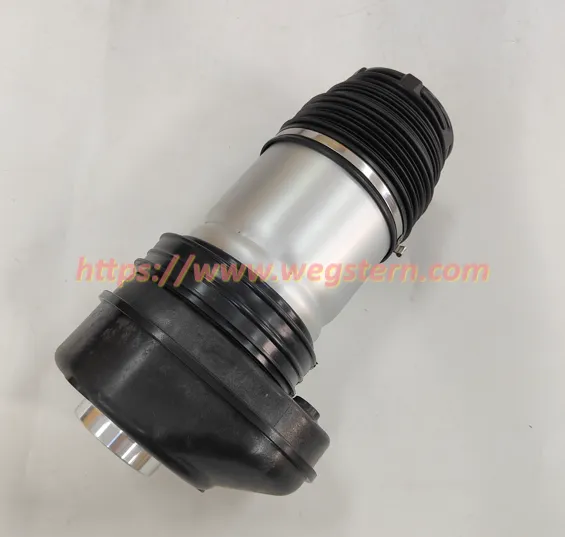 37106869035 37106869029 37106869031 37106869036 Hot Selling Nice Quality Front Air Spring for BMW X5 G05 X6 G06 X7 G07 2018-- photo-2