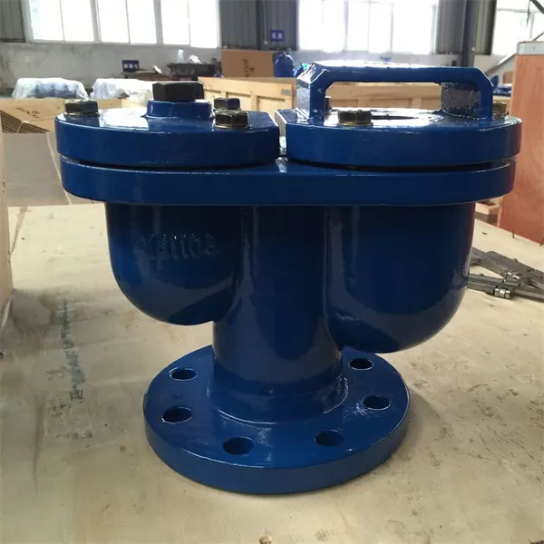 Automatic Air Vent Valve Double Orifice Cast Steel DI QT450 DN50 PN16 PN25 Screwed Single Sewage Pipe Air Release Exhaust Valve photo-5