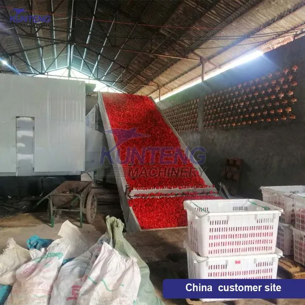Industrial Chili Spice Mesh Belt Dryer Chili Drying Grinding Packaging Production Line EPC photo-5
