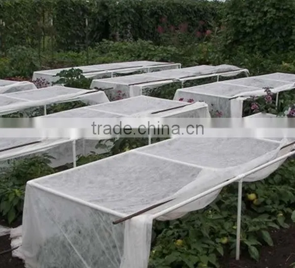 Non-woven Landscape Ground Cover Supplier photo-6