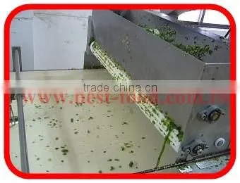 Automatic Food Processing Machine for Roti Paratha photo-2