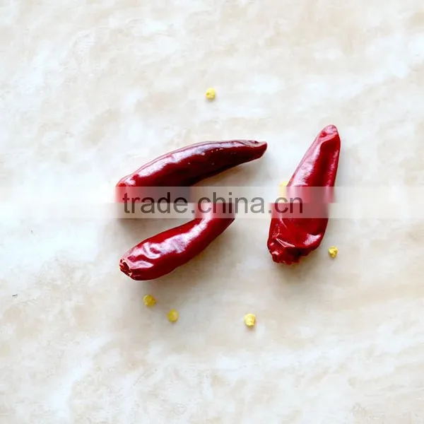 Red Dried Chili Red Chili Pepper Zidantou photo-2