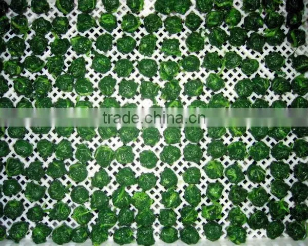 With BRC Certificate Iqf Frozen Spinach photo-2