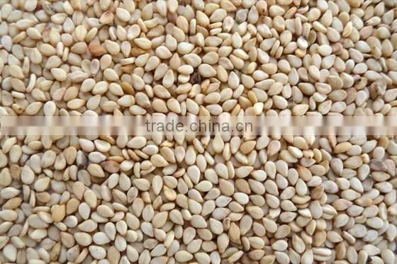 Sesame Seeds, Chia Seeds, Cumin Seeds