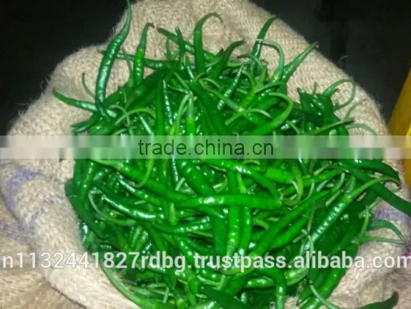 Fresh Indian Vegetables Exporter photo-3