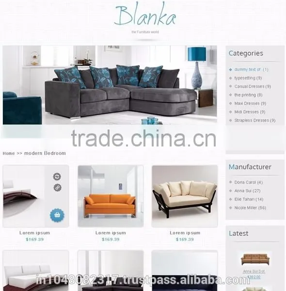 Website Design and Development photo-2