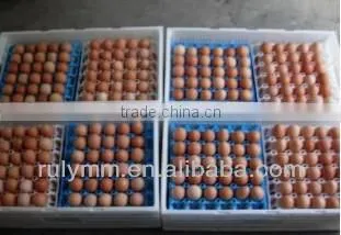 30-cell Plastic Egg Tray/box/carton photo-2