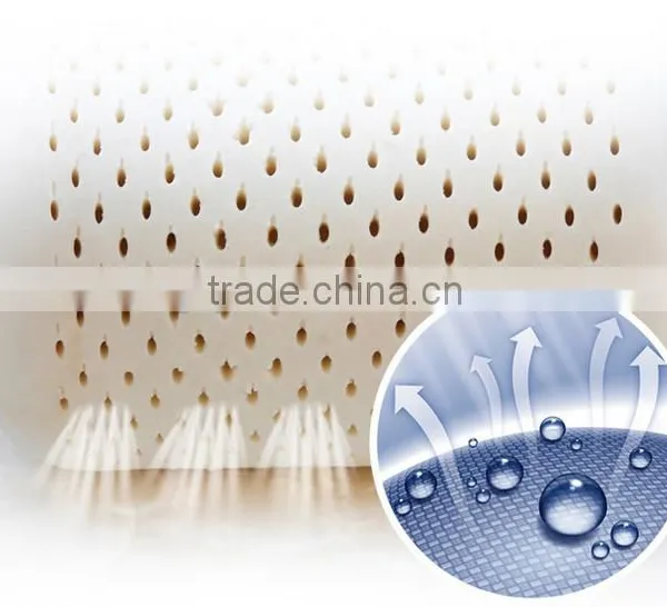 Wholesale Latex Foam Rubber Couples Pillow photo-5
