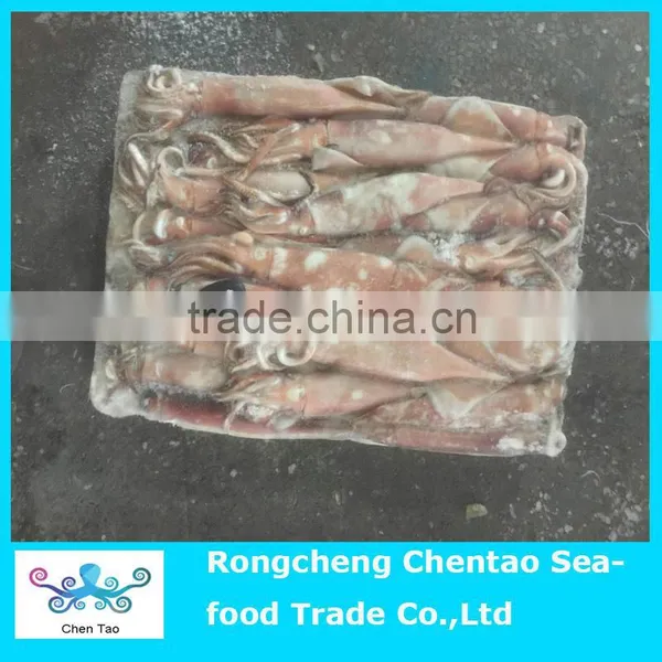 New Product Frozen Squid for Sale