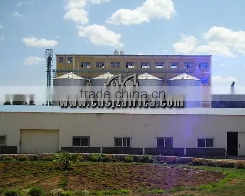 6000T*5 Grain Steel Silo photo-3