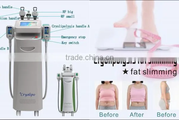 The Newest Body Fat Shape Slimming Beauty Machine With Two Heads Could Work at the Same Time photo-6