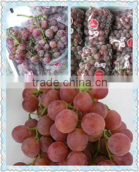 Fresh Fruits of Red Global Grape photo-4